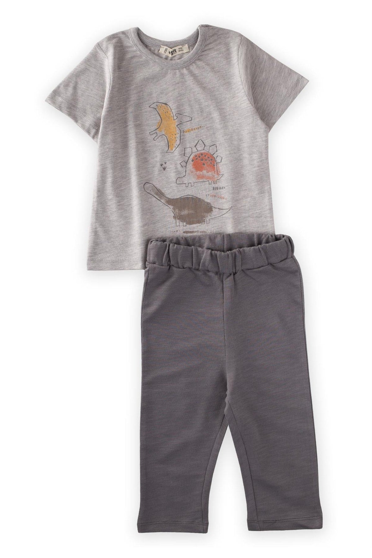 Dinosaur Printed Pajama Set 2-7 Age Gray Melanj