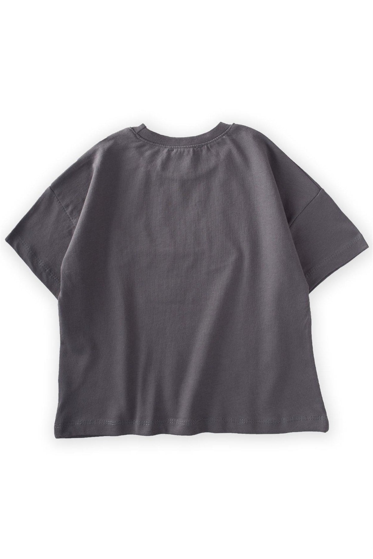 Fish Embroidered T-Shirt 2-8 Age Gray